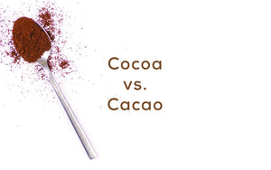 All Chocolate is NOT Created Equally - Cacao VS Cocoa